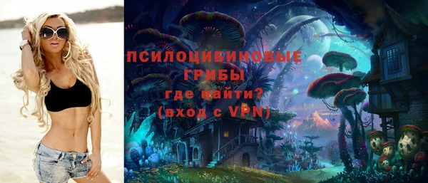 ALPHA-PVP Алексеевка