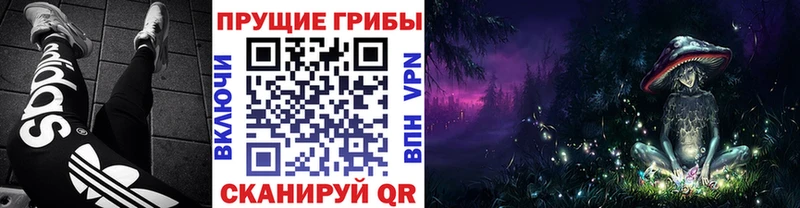 Галлюциногенные грибы GOLDEN TEACHER  OMG онион  Вихоревка  даркнет сайт 